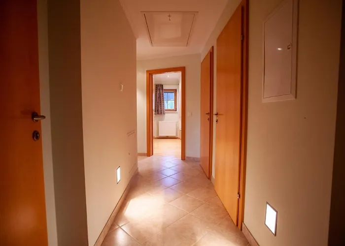 Muehlrad Ramsau am Dachstein